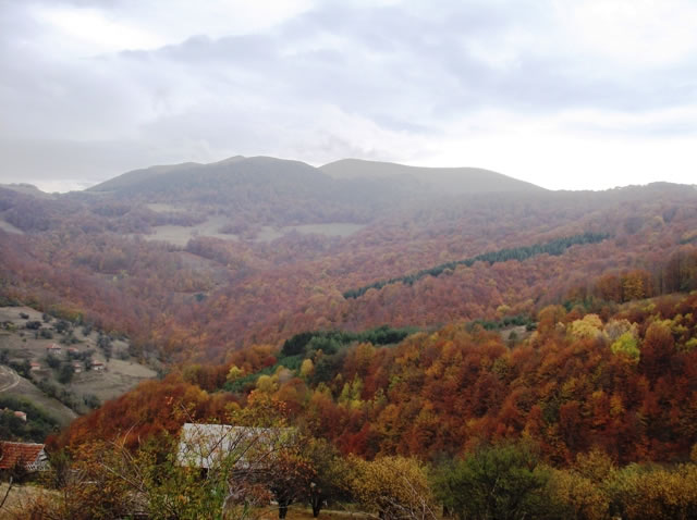 Pogled iz Vuceg dela na Ruj